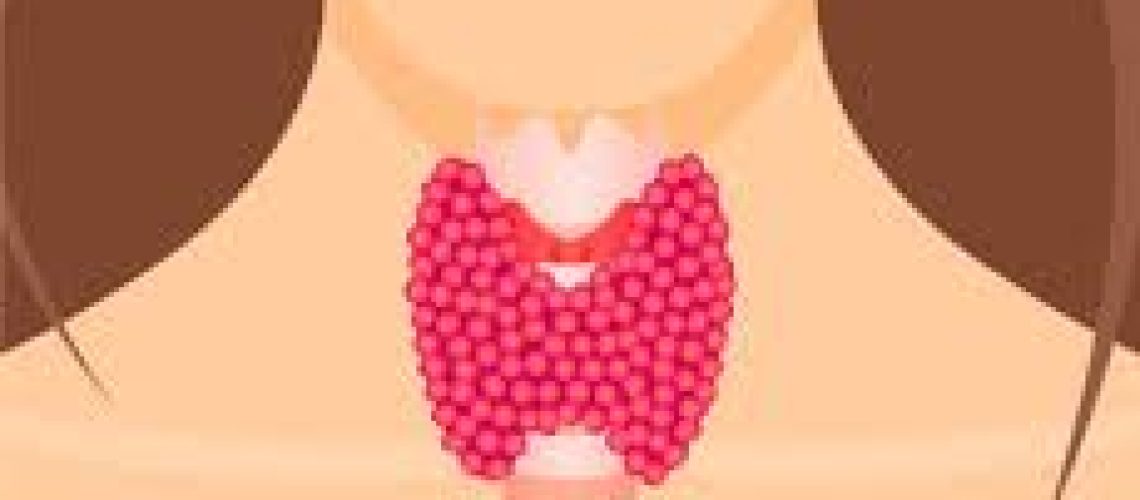 images-tireoide